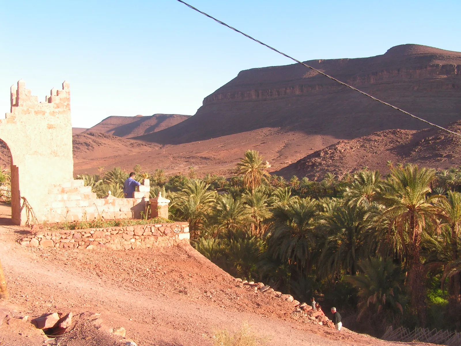 Palm trees and rocky hills at Fint Oasis